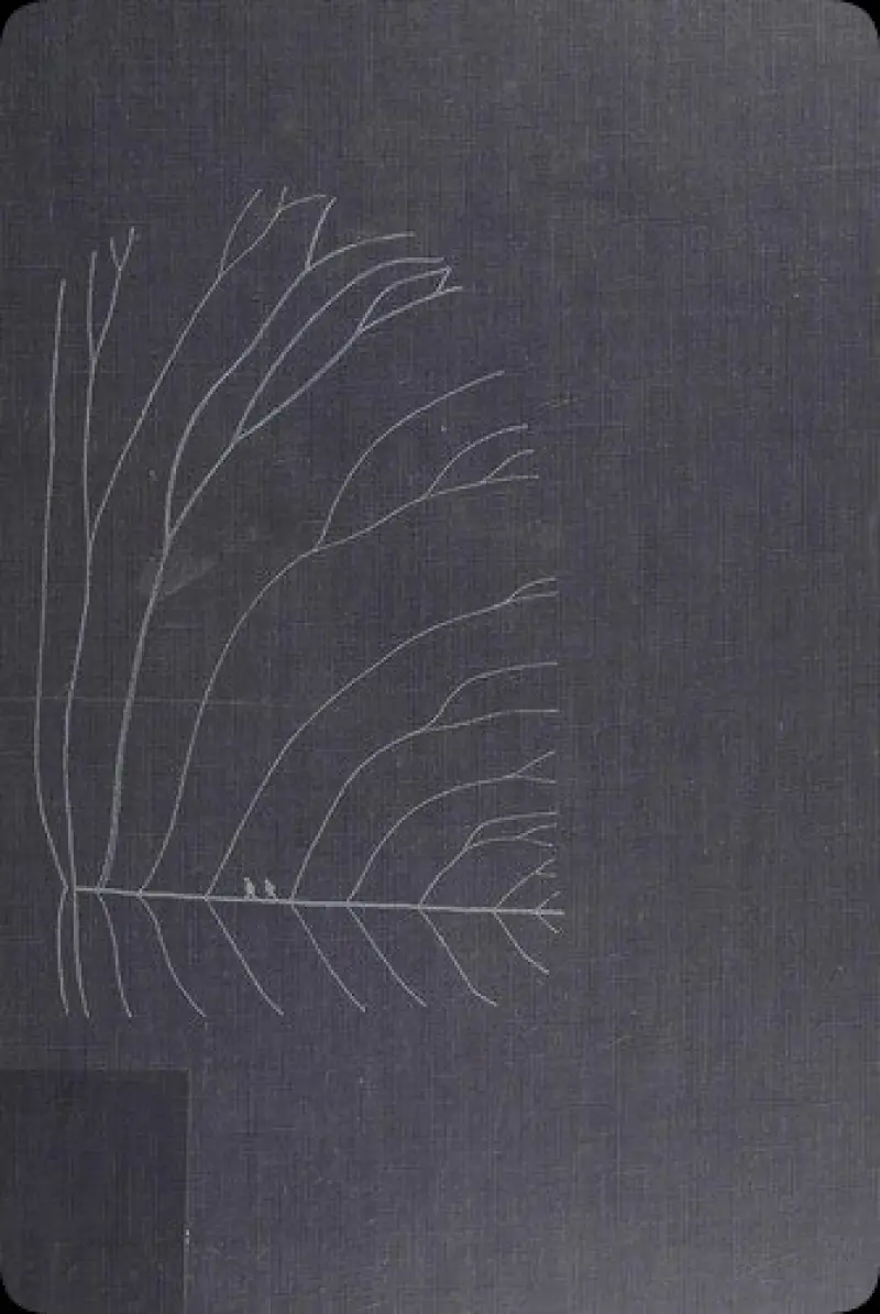 تصورات ذهنی یک زندانی